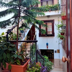 Sphendone 4* Istanbul